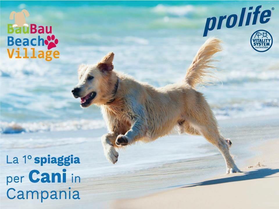 Bau Bau Beach Village Foce del Sele Kültér fotó